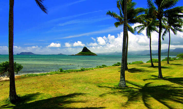 圖片[1]-廣州到夏威夷國際物流：可靠的貨運解決方案-鑫漢物流